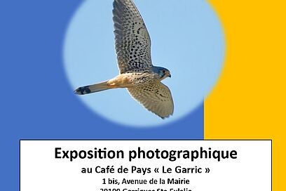 Agrandir l'image, fenêtre modale