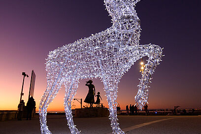 Agrandir l'image, fenêtre modale