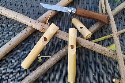 Agrandir l'image, fenêtre modale