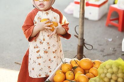 Agrandir l'image, fenêtre modale