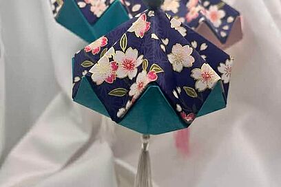 Agrandir l'image, fenêtre modale