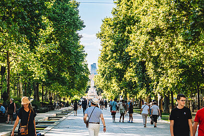Agrandir l'image, fenêtre modale