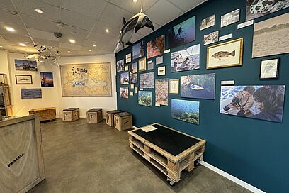 Agrandir l'image, fenêtre modale