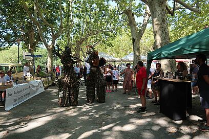 Agrandir l'image, fenêtre modale