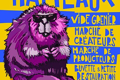 Agrandir l'image, fenêtre modale