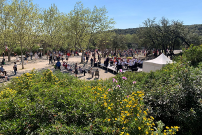 Agrandir l'image, fenêtre modale