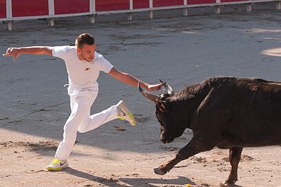 Agrandir l'image, fenêtre modale