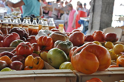Agrandir l'image, fenêtre modale