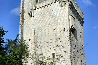 Agrandir l'image, fenêtre modale