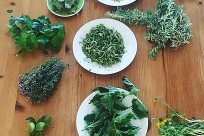 Agrandir l'image, fenêtre modale