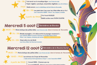 Agrandir l'image, fenêtre modale