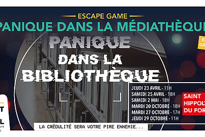 Agrandir l'image, fenêtre modale