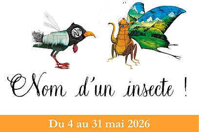 Agrandir l'image, fenêtre modale