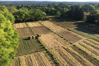 Agrandir l'image, fenêtre modale