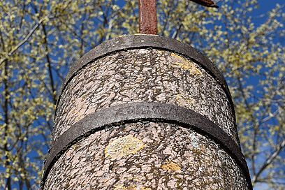 Agrandir l'image, fenêtre modale