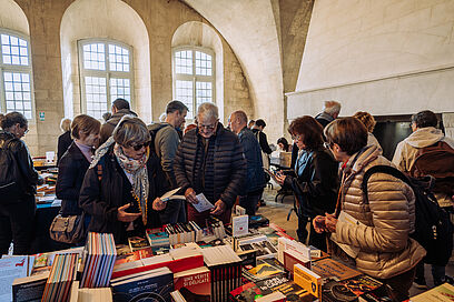 Agrandir l'image, fenêtre modale