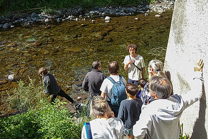 Agrandir l'image, fenêtre modale