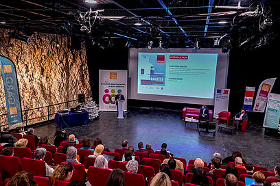 Agrandir l'image, fenêtre modale