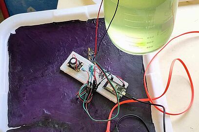 Agrandir l'image, fenêtre modale