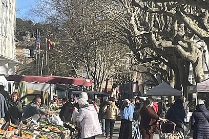 Agrandir l'image, fenêtre modale