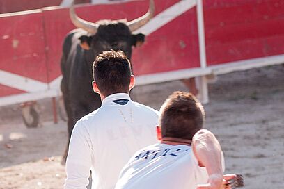 Agrandir l'image, fenêtre modale