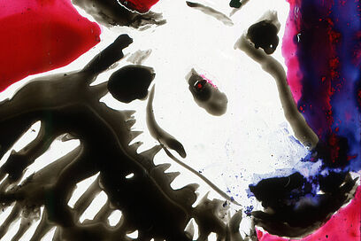 Agrandir l'image, fenêtre modale