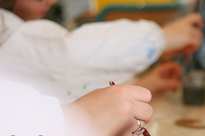 Agrandir l'image, fenêtre modale