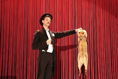 Agrandir l'image, fenêtre modale