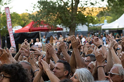 Agrandir l'image, fenêtre modale