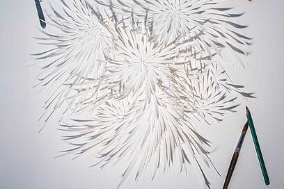 Agrandir l'image, fenêtre modale