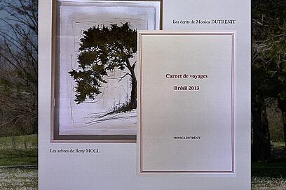Agrandir l'image, fenêtre modale