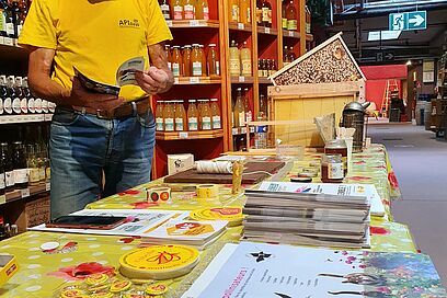 Agrandir l'image, fenêtre modale