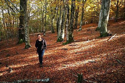 Agrandir l'image, fenêtre modale