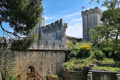 Agrandir l'image, fenêtre modale