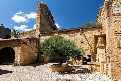 Agrandir l'image, fenêtre modale