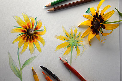 Agrandir l'image, fenêtre modale