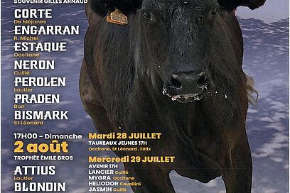 Agrandir l'image, fenêtre modale