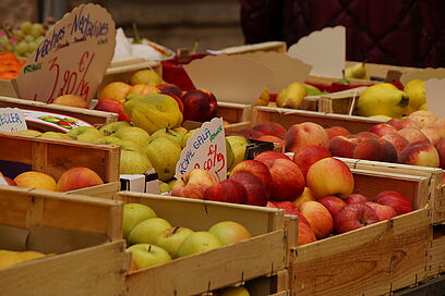 Agrandir l'image, fenêtre modale