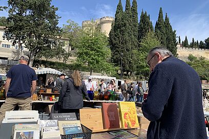 Agrandir l'image, fenêtre modale