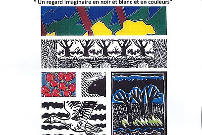 Agrandir l'image, fenêtre modale