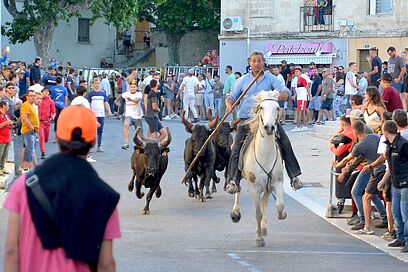 Agrandir l'image, fenêtre modale