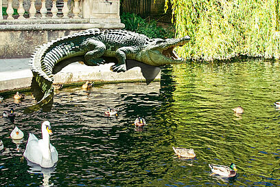 Agrandir l'image, fenêtre modale