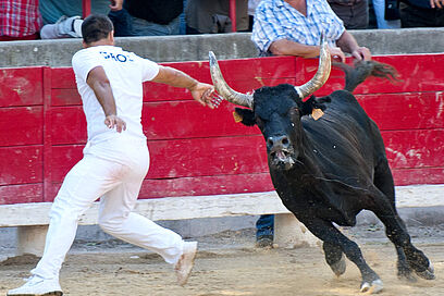 Agrandir l'image, fenêtre modale