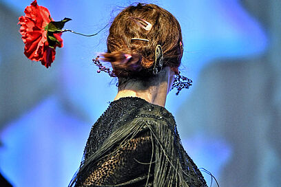 Agrandir l'image, fenêtre modale