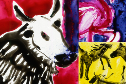 Agrandir l'image, fenêtre modale