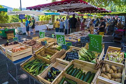 Agrandir l'image, fenêtre modale