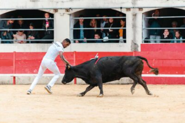 Agrandir l'image, fenêtre modale