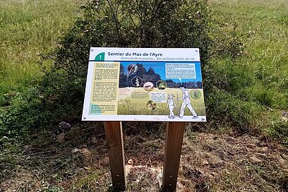 Agrandir l'image, fenêtre modale