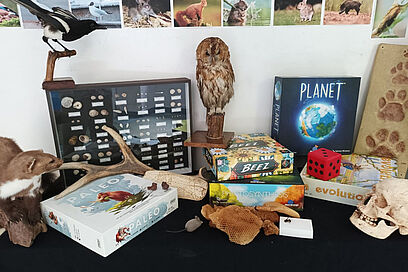 Agrandir l'image, fenêtre modale