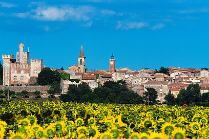 Agrandir l'image, fenêtre modale